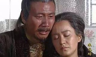 暴躁太子爷全集观看