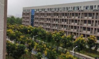 河南科技大学回应男女混住
