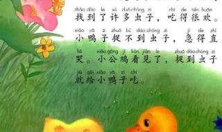 小公鸡和小鸭子课文