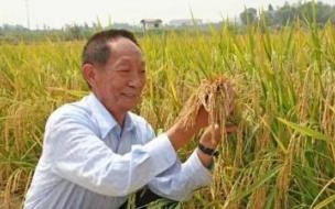 诺贝尔没有什么奖项 诺贝尔奖没有设立哪个奖项