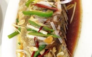 清蒸桂鱼的做法图解 清蒸桂鱼的做法视频